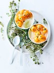 Yoghurt ijs met gemarineerde meloenbolletjes 